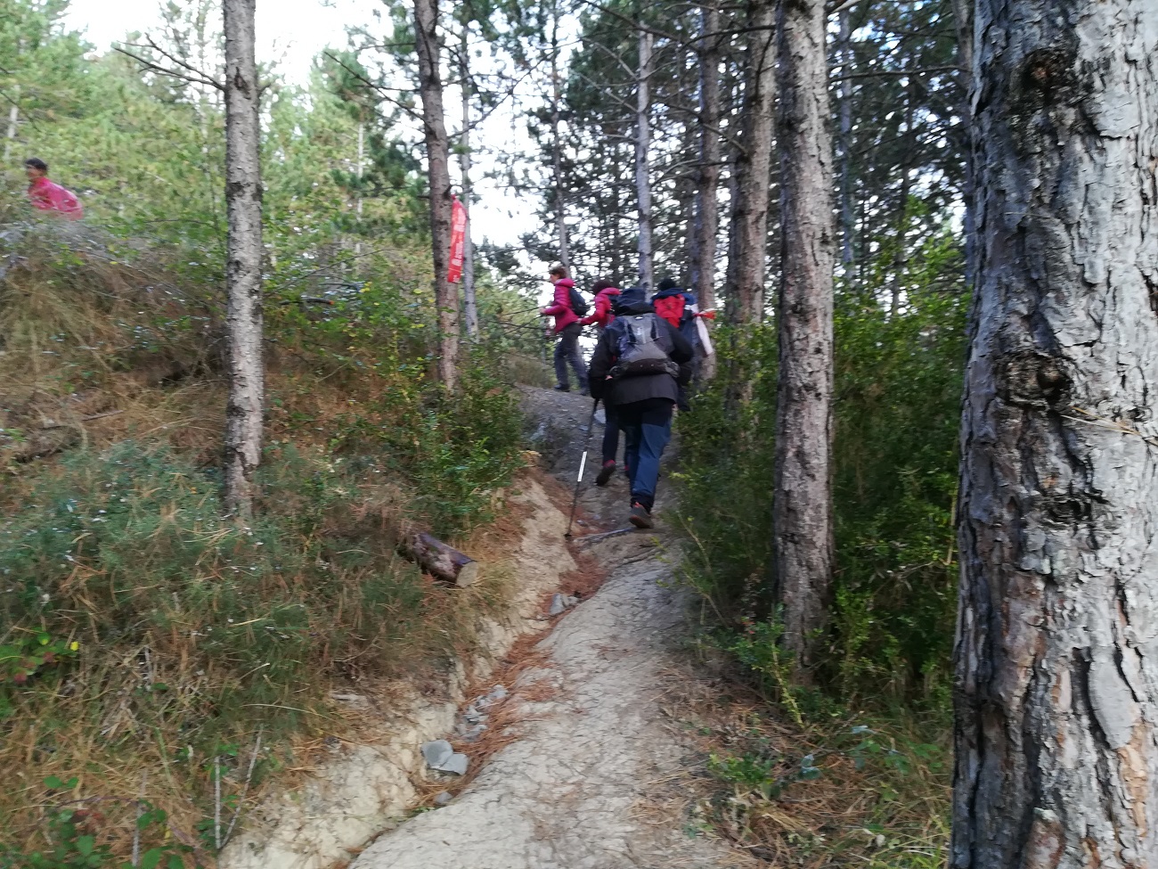 CELEBRADO EL DÍA DE LOS CLUBES EN EZKABA